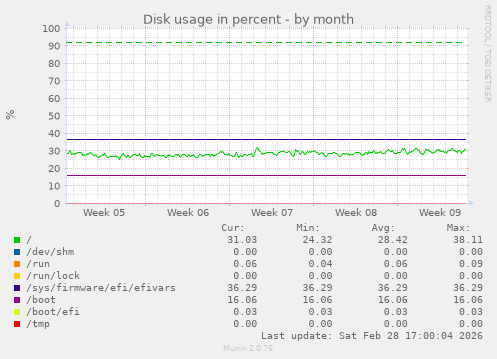 Disk usage in percent